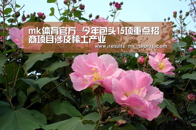 mk体育官方-今年包头15项重点招商项目涉及稀土产业(图2) mk体育
