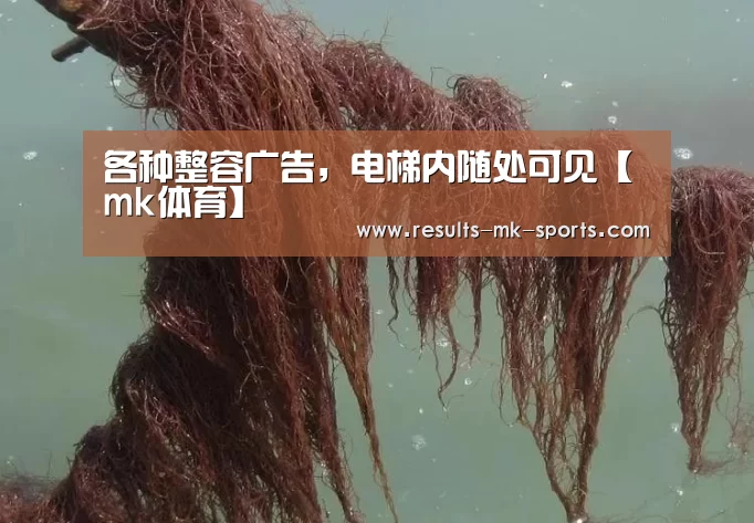 各种整容广告,电梯内随处可见【mk体育】(图2) mk体育