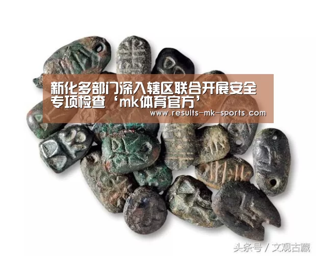 新化多部门深入辖区联合开展安全专项检查‘mk体育官方’(图1) mk体育