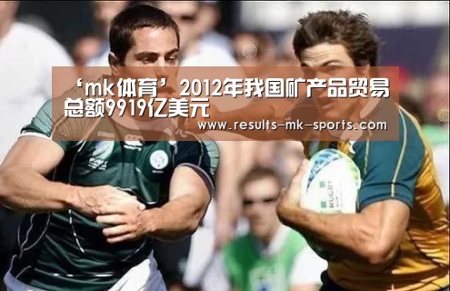 ‘mk体育’2012年我国矿产品贸易总额9919亿美元(图2) mk体育官方