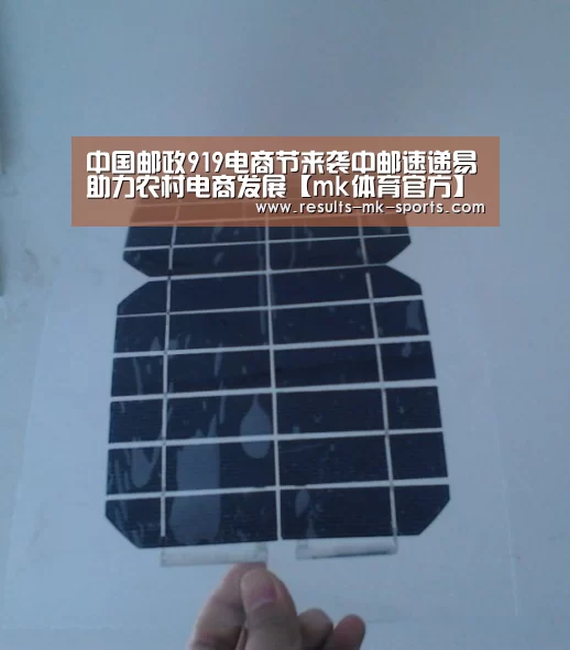 中国邮政919电商节来袭中邮速递易助力农村电商发展【mk体育官方】(图1) mk体育