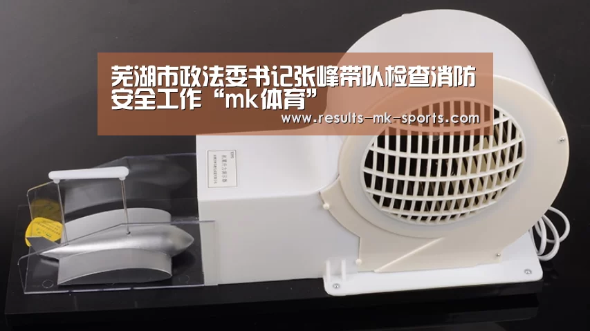 芜湖市政法委书记张峰带队检查消防安全工作“mk体育”(图1) mk体育