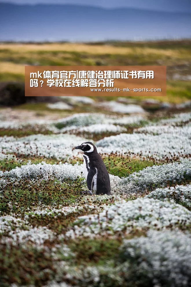 mk体育官方|康健治理师证书有用吗?学校在线解答分析(图2) mk体育