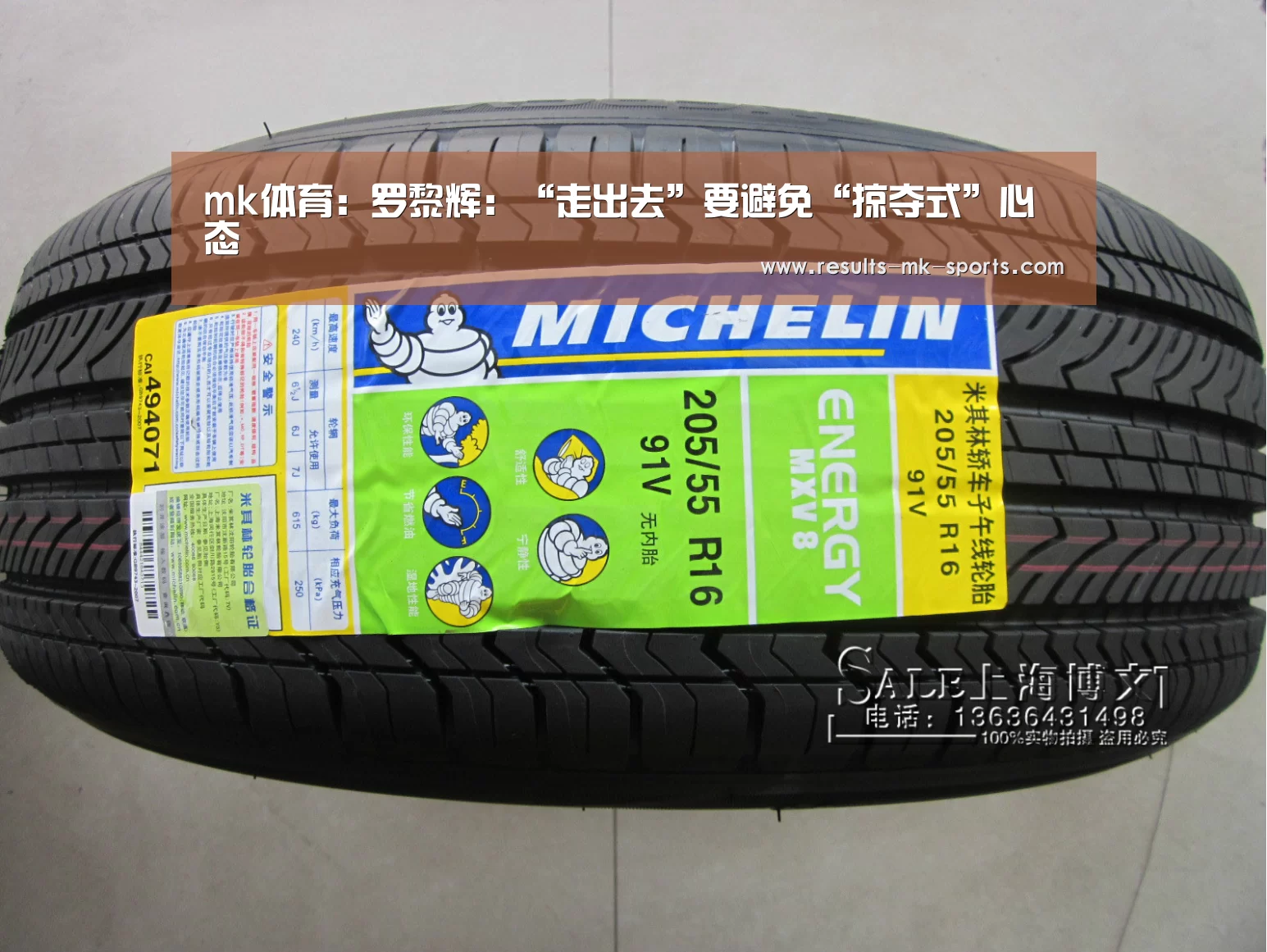 mk体育:罗黎辉:“走出去”要避免“掠夺式”心态(图2) mk体育官方