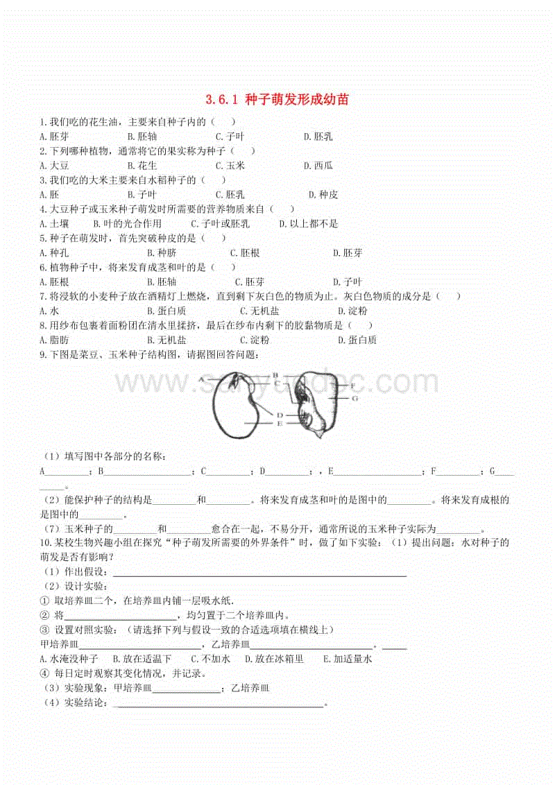 mk体育官方-超级供应链网时代来临,物流企业开始突围?(图1) mk体育